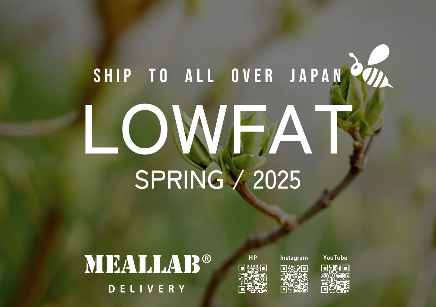 #1 LOWFAT 7食セット