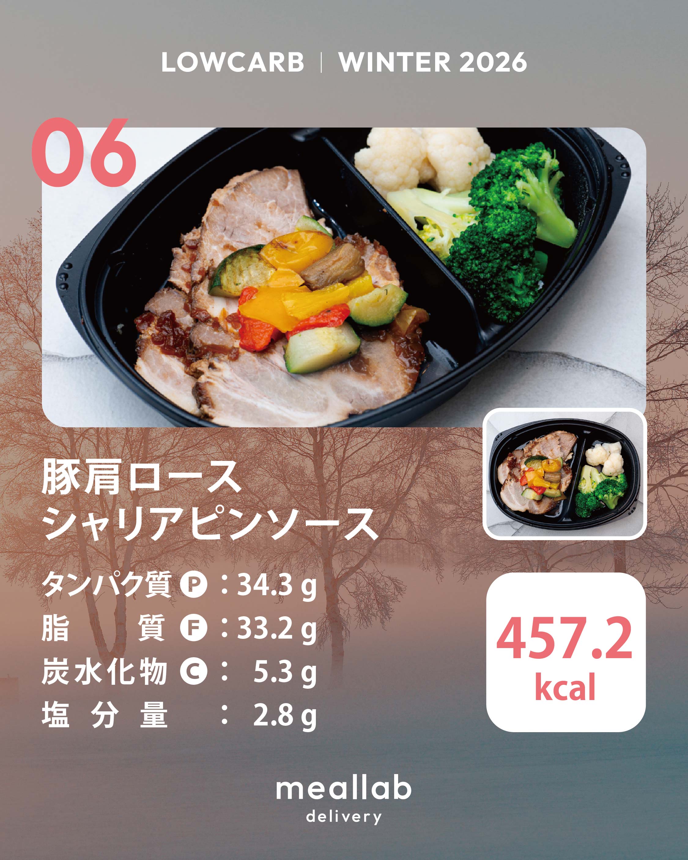 LOWCARB(低糖質・低炭水化物ダイエット)コース|MEALLAB LOWCARB(低糖質・低炭水化物ダイエット)コース|MEALLAB