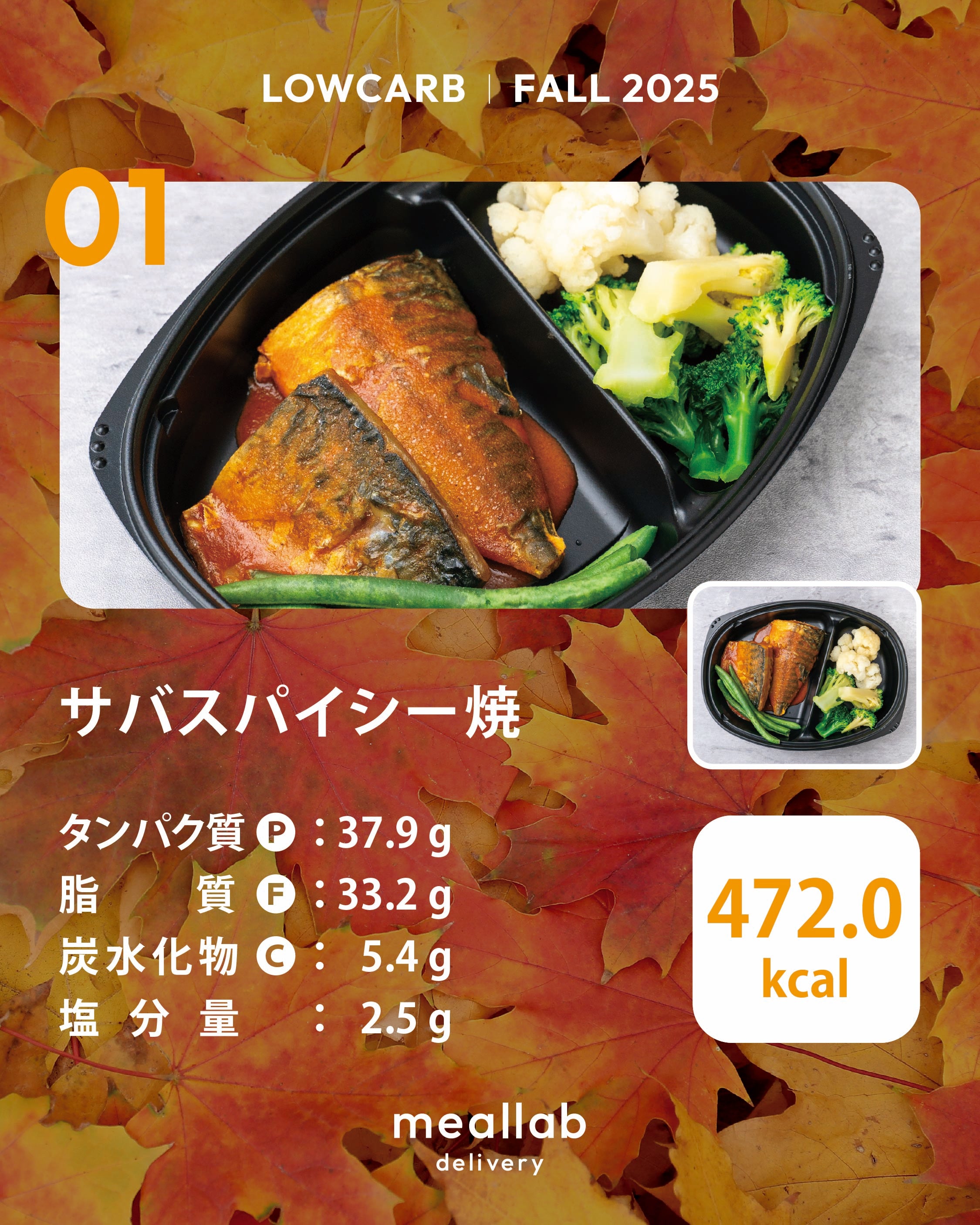 Lowfat_Summer_2025_SNS_02_5781